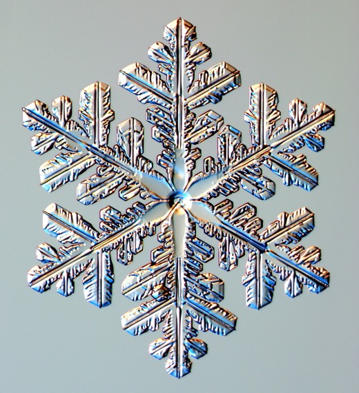 Фотографий снежинок, выполненные физиком Кеннетом Либрехтом