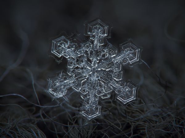 Снежинки в макрообъективе Алексея Клятова